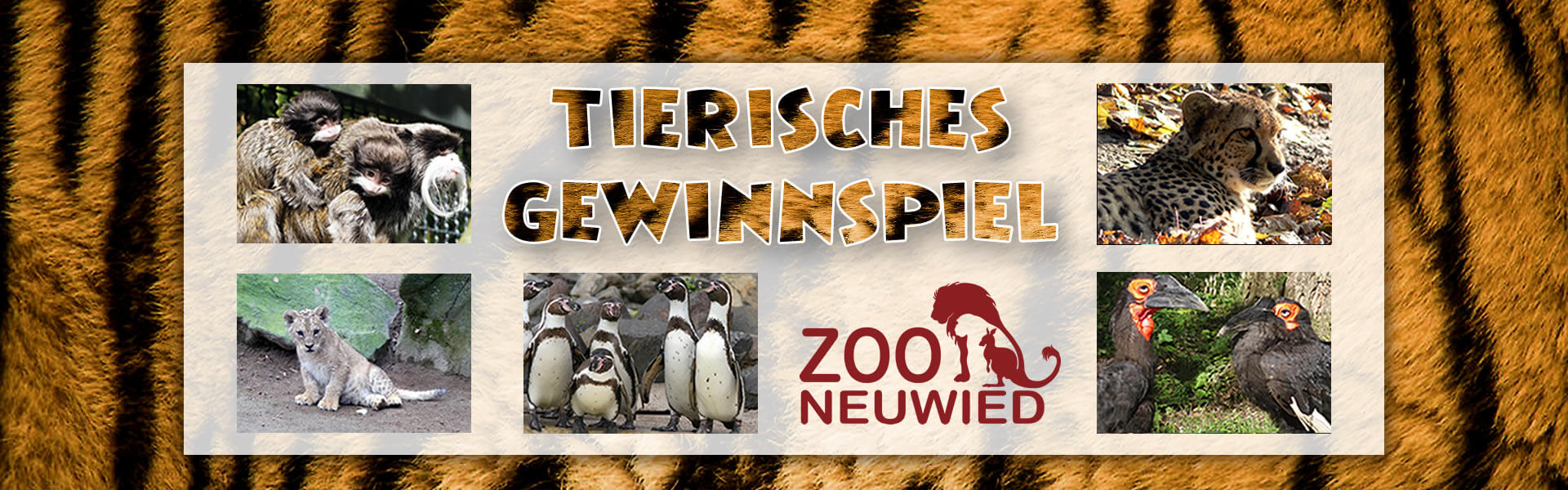 Tierisches Gewinnspiel Sommer 2019