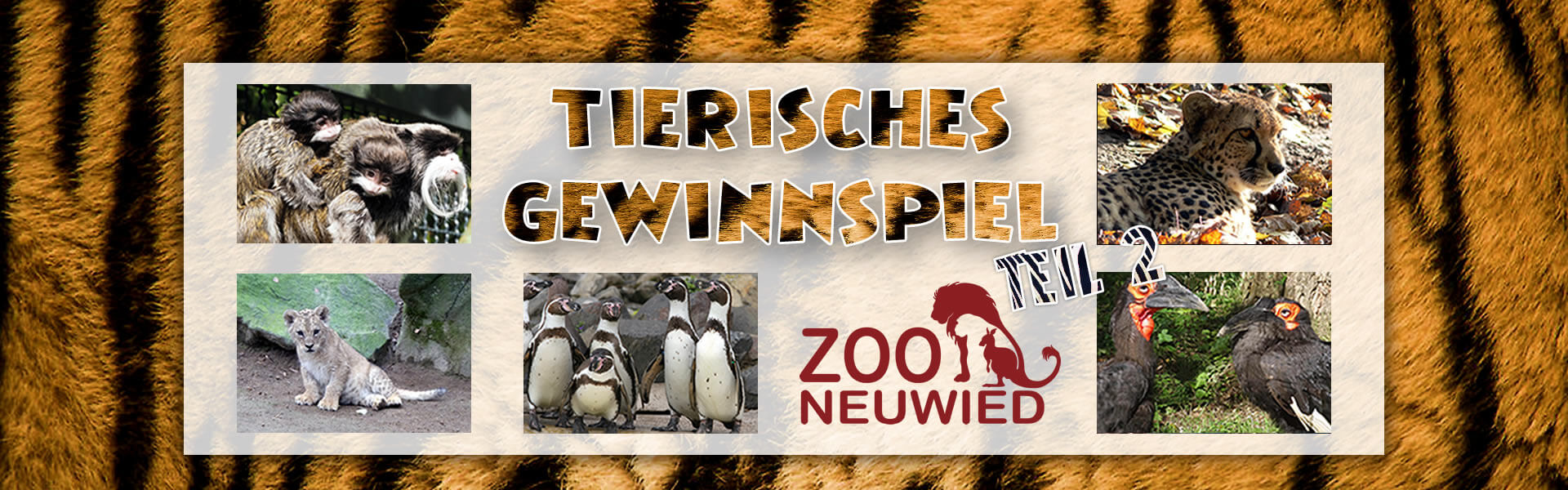 Tierisches Gewinnspiel Herbst 2019