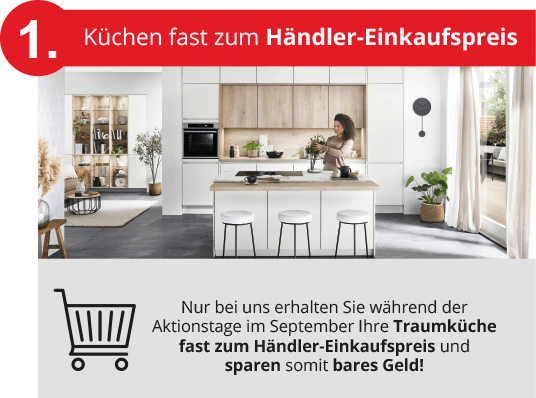 Vorteil 1 - Händlereinkaufskontitionen