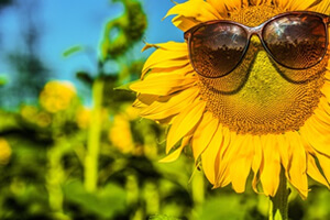 20.08.2017 Ulmen - Verkaufsoffener Sonntag