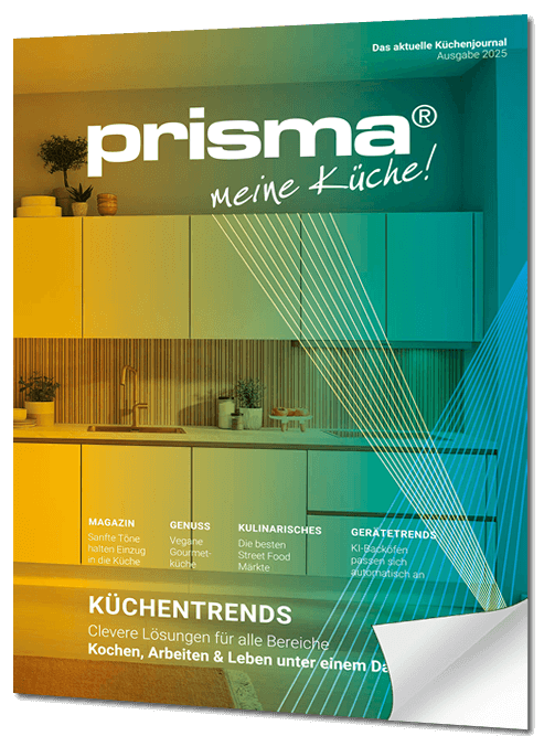 Primsa Journal 2025